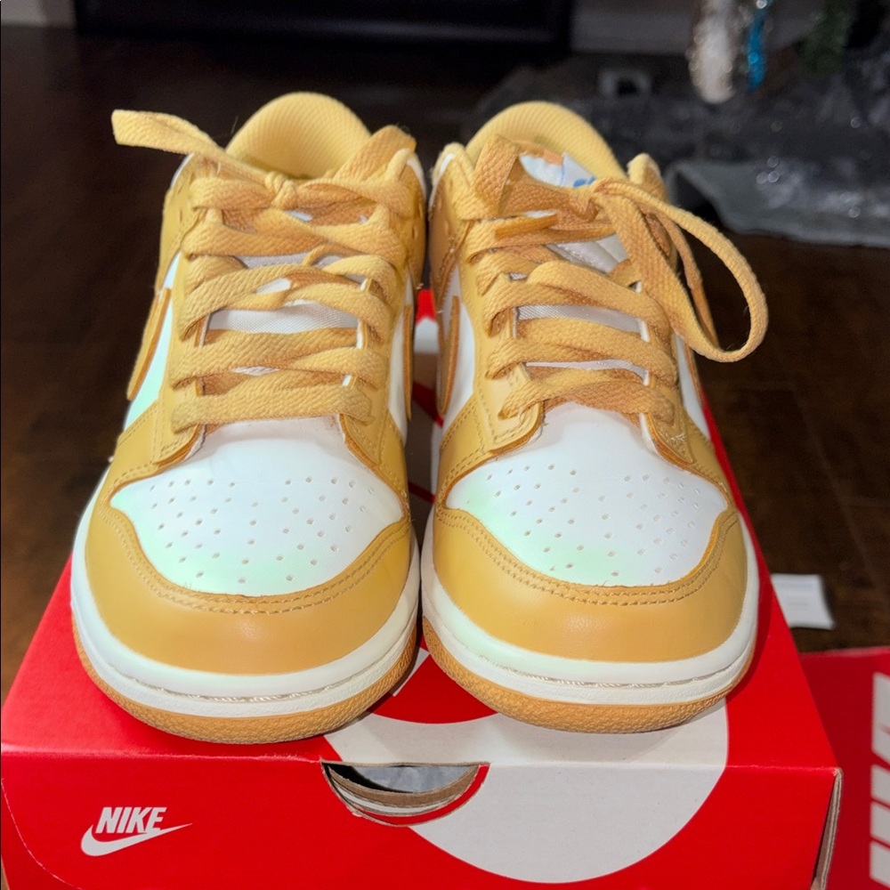 Nike Dunk Low